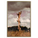 Poster Memory of the Sky - old tree trunk surrounded by meadow against sky 124388 additionalThumb 16