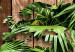 Large canvas print Jungle of the World II [Large Format] 125688 additionalThumb 4