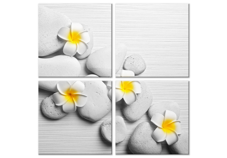 Canvas Art Print SPA Stones (4-part) - white flowers on stones in Zen motif 128788