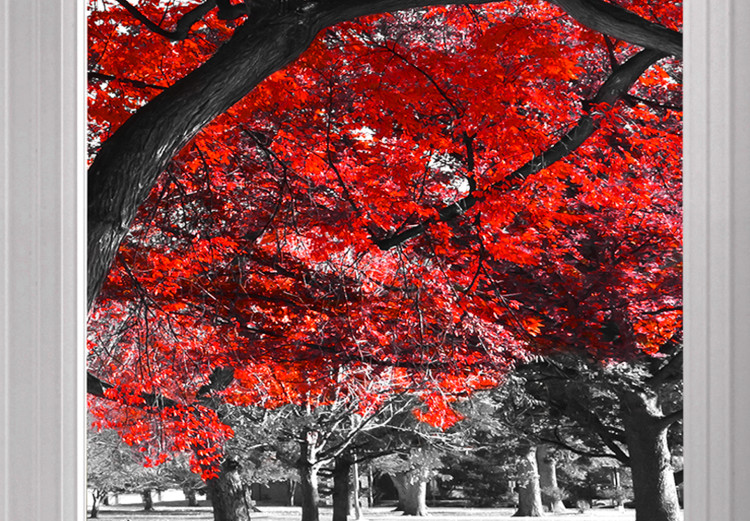 Large canvas print Red Maple [Large Format] 128888 additionalImage 3