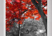 Large canvas print Red Maple [Large Format] 128888 additionalThumb 4