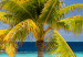 Canvas Art Print Paradise Maldives (1-part) wide - tropical island landscape 128988 additionalThumb 4