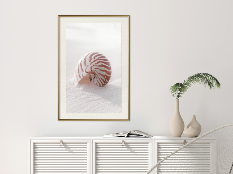 Poster August Shell - maritime composition with a seashell on the sand 129488 additionalImage 22