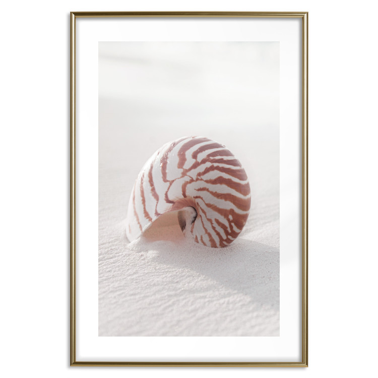 Poster August Shell - maritime composition with a seashell on the sand 129488 additionalImage 14