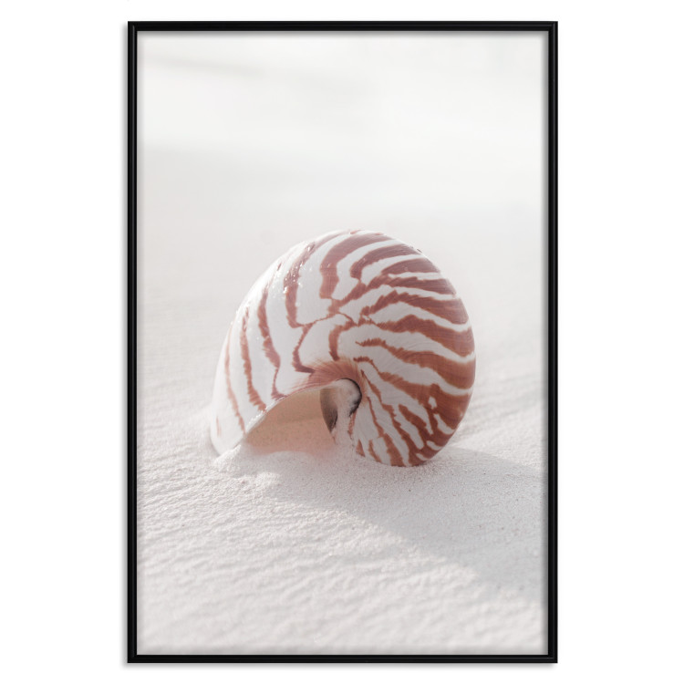 Poster August Shell - maritime composition with a seashell on the sand 129488 additionalImage 18