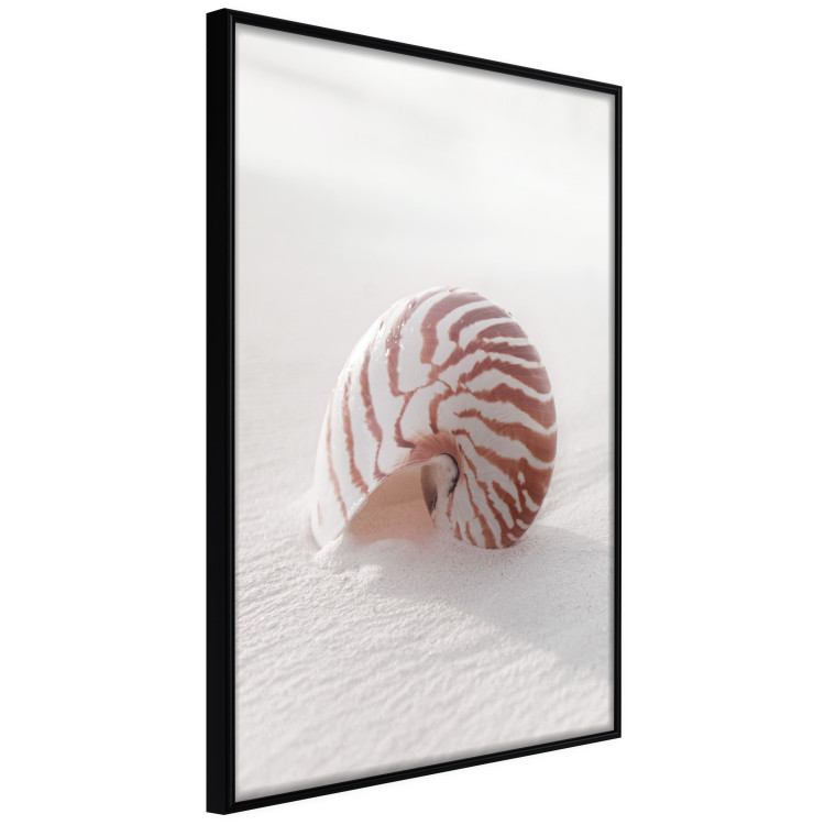 Poster August Shell - maritime composition with a seashell on the sand 129488 additionalImage 13