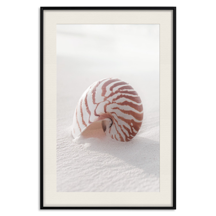 Poster August Shell - maritime composition with a seashell on the sand 129488 additionalImage 19