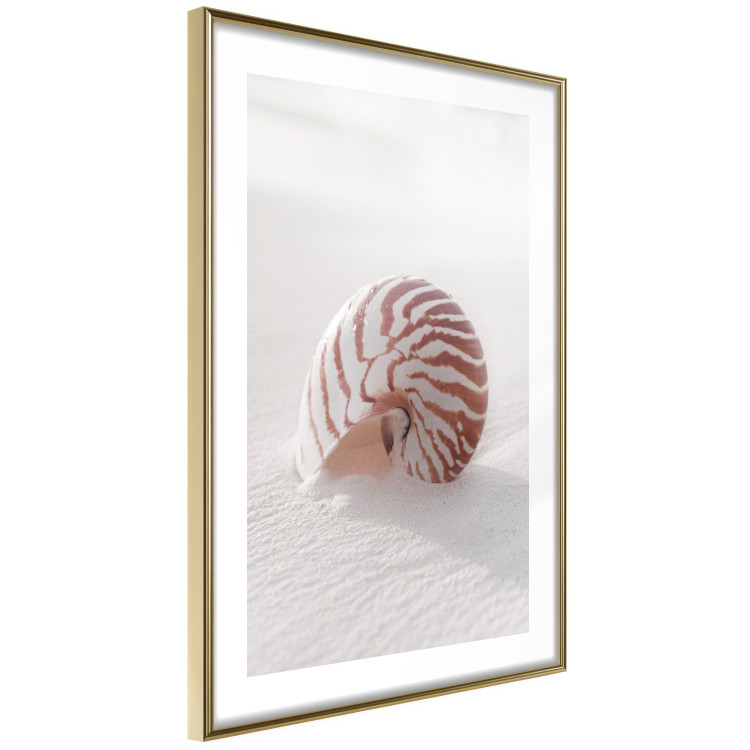 Poster August Shell - maritime composition with a seashell on the sand 129488 additionalImage 7