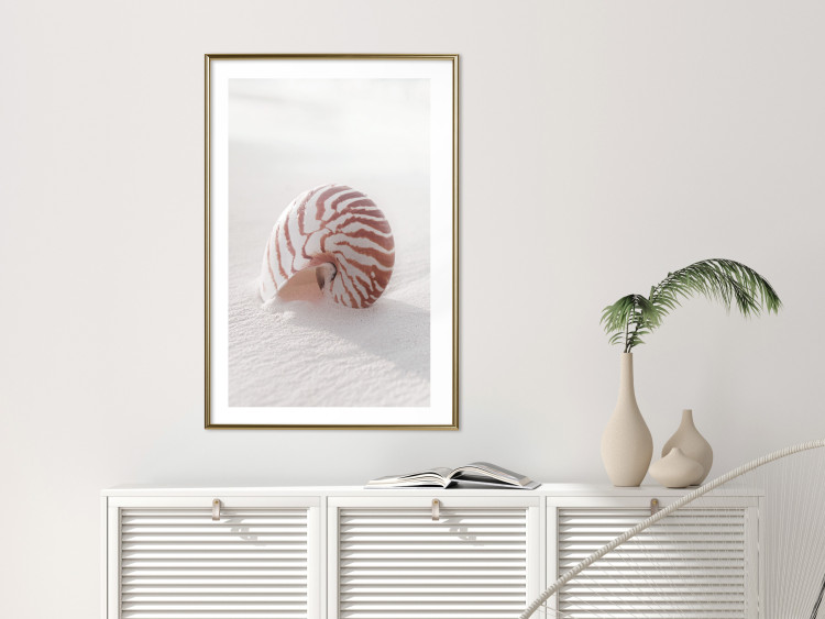 Poster August Shell - maritime composition with a seashell on the sand 129488 additionalImage 13
