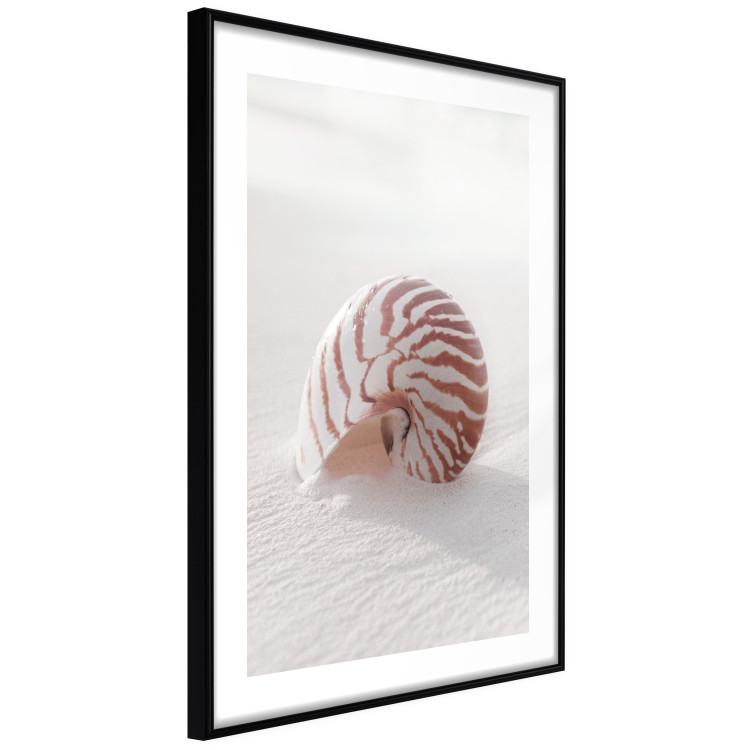 Poster August Shell - maritime composition with a seashell on the sand 129488 additionalImage 6