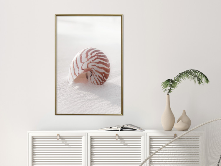 Poster August Shell - maritime composition with a seashell on the sand 129488 additionalImage 5