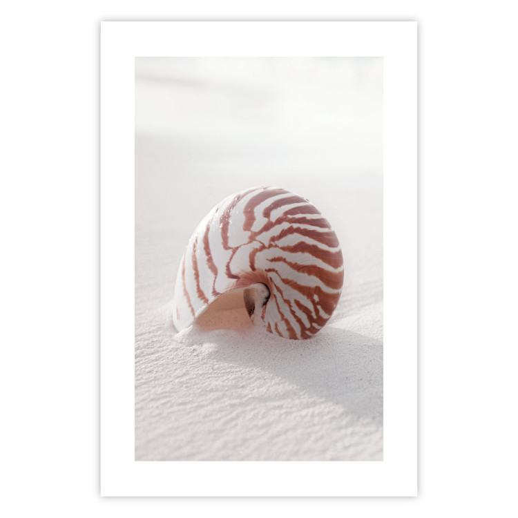 Poster August Shell - maritime composition with a seashell on the sand 129488 additionalImage 25