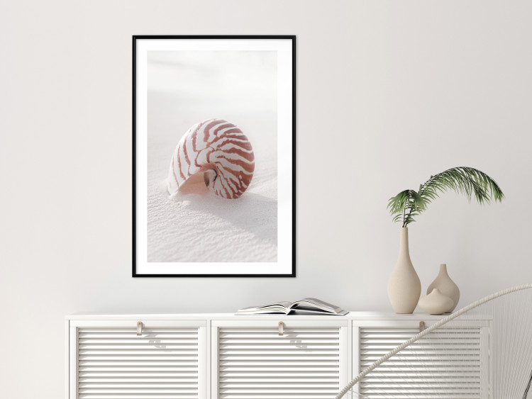 Poster August Shell - maritime composition with a seashell on the sand 129488 additionalImage 18