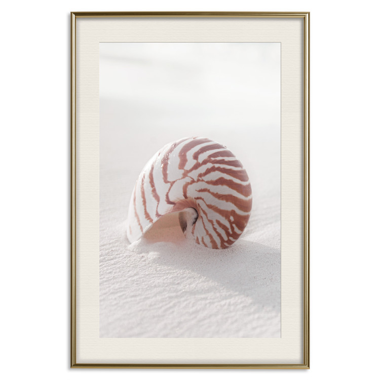 Poster August Shell - maritime composition with a seashell on the sand 129488 additionalImage 20