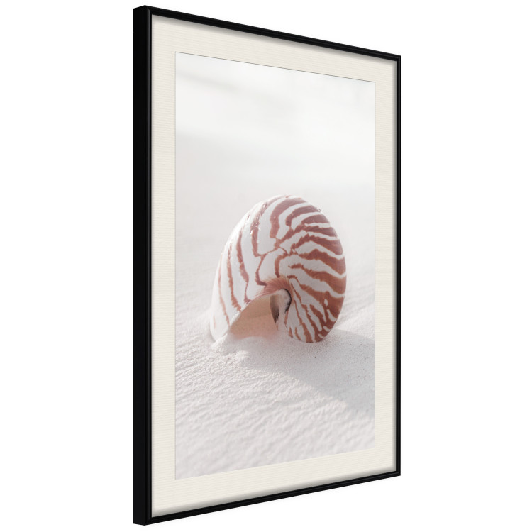 Poster August Shell - maritime composition with a seashell on the sand 129488 additionalImage 2