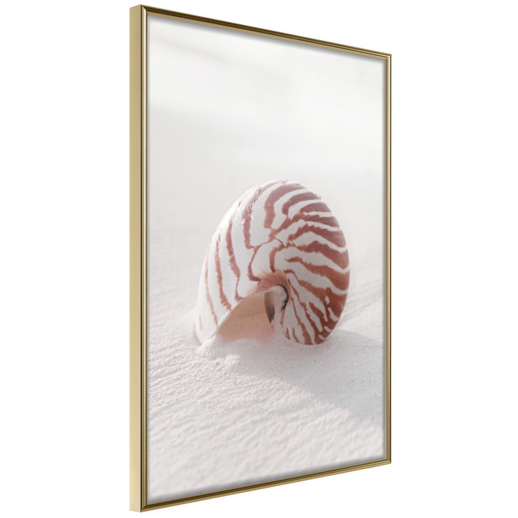 Poster August Shell - maritime composition with a seashell on the sand 129488 additionalImage 12