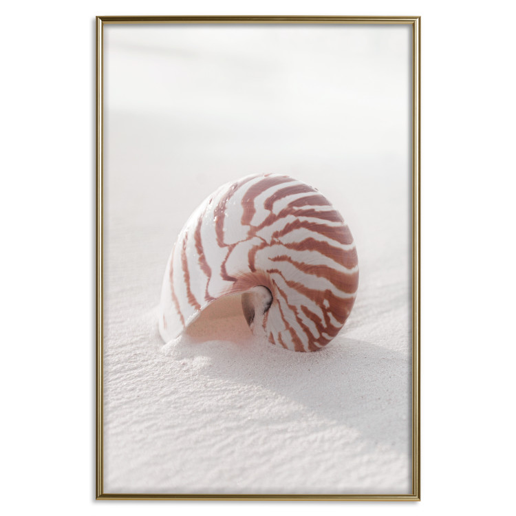 Poster August Shell - maritime composition with a seashell on the sand 129488 additionalImage 17
