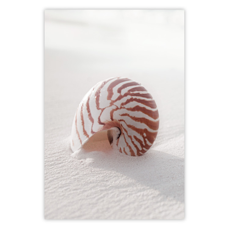 Poster August Shell - maritime composition with a seashell on the sand 129488