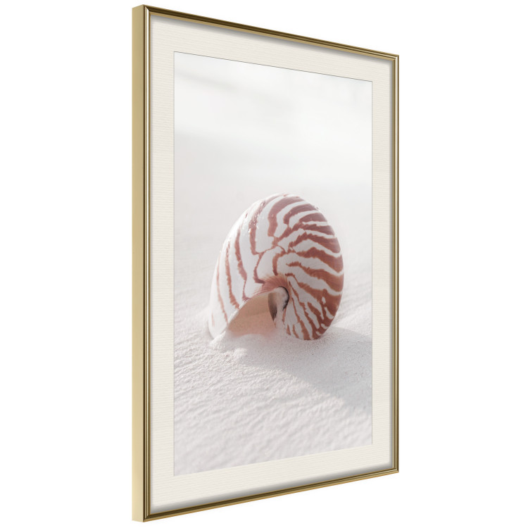 Poster August Shell - maritime composition with a seashell on the sand 129488 additionalImage 3