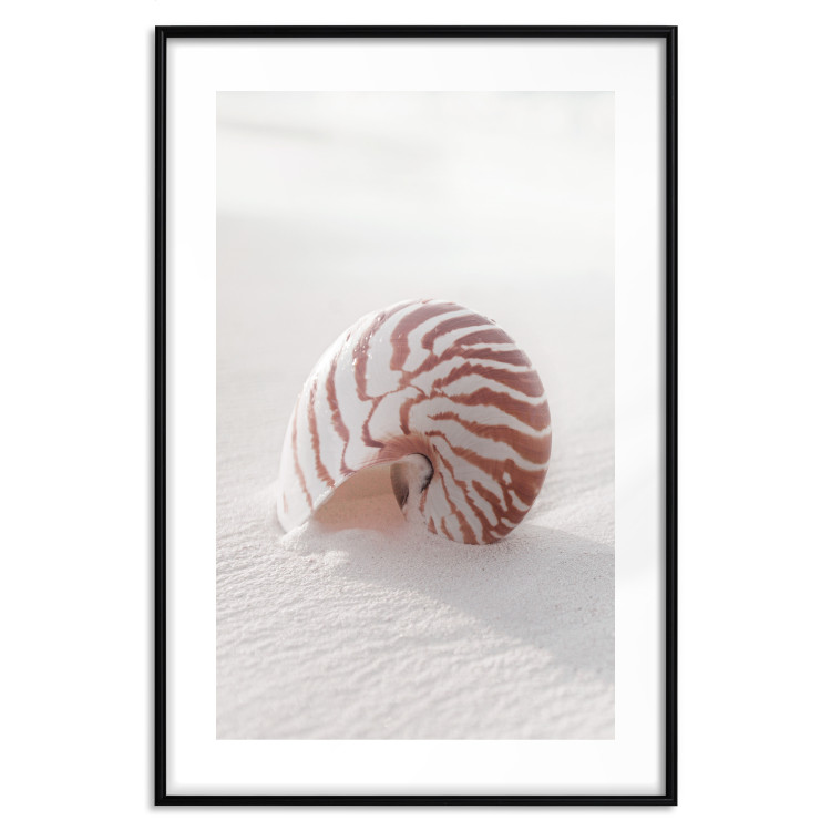 Poster August Shell - maritime composition with a seashell on the sand 129488 additionalImage 15