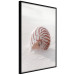 Poster August Shell - maritime composition with a seashell on the sand 129488 additionalThumb 11