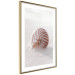 Poster August Shell - maritime composition with a seashell on the sand 129488 additionalThumb 9