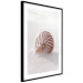 Poster August Shell - maritime composition with a seashell on the sand 129488 additionalThumb 6