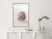 Poster August Shell - maritime composition with a seashell on the sand 129488 additionalThumb 5