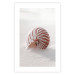 Poster August Shell - maritime composition with a seashell on the sand 129488 additionalThumb 25