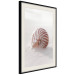 Poster August Shell - maritime composition with a seashell on the sand 129488 additionalThumb 2