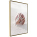 Poster August Shell - maritime composition with a seashell on the sand 129488 additionalThumb 12