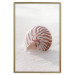Poster August Shell - maritime composition with a seashell on the sand 129488 additionalThumb 21