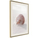 Poster August Shell - maritime composition with a seashell on the sand 129488 additionalThumb 3
