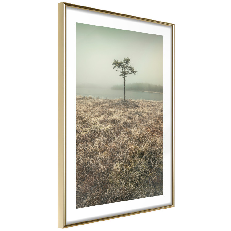 Wall Poster Along the Lake Shore - landscape of grass and a small tree against the water 130388 additionalImage 7