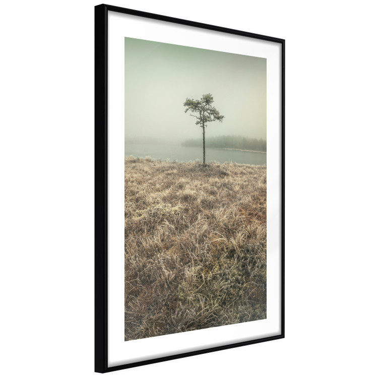 Wall Poster Along the Lake Shore - landscape of grass and a small tree against the water 130388 additionalImage 6
