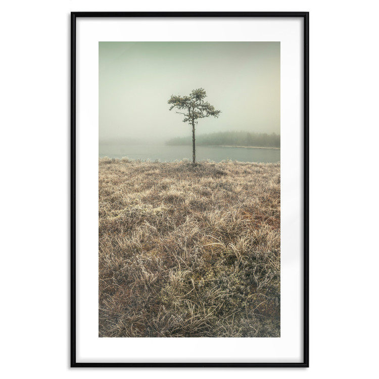 Wall Poster Along the Lake Shore - landscape of grass and a small tree against the water 130388 additionalImage 15