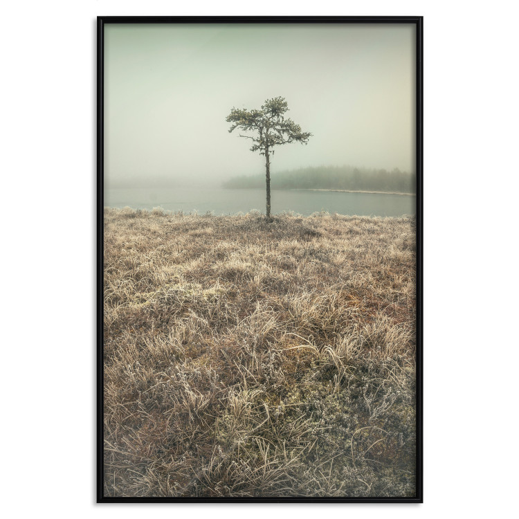 Wall Poster Along the Lake Shore - landscape of grass and a small tree against the water 130388 additionalImage 16