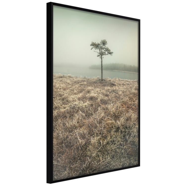 Wall Poster Along the Lake Shore - landscape of grass and a small tree against the water 130388 additionalImage 11