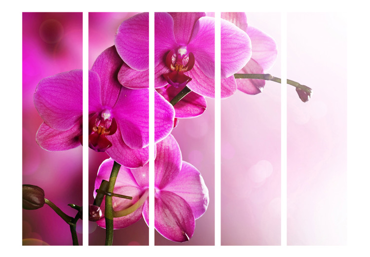 Room Separator Pink Orchid II (5-piece) - blooming flowers on a light pink background 132788 additionalImage 3