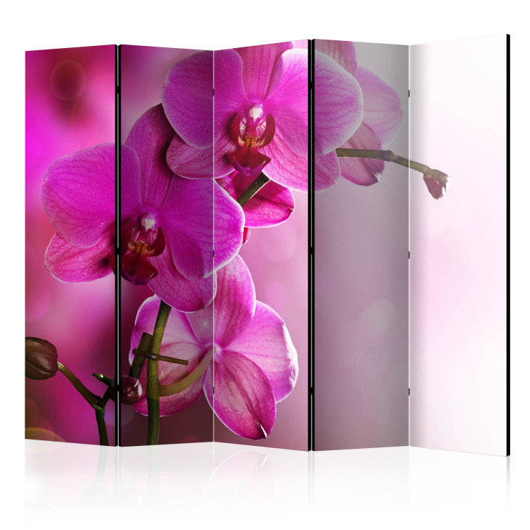 Room Separator Pink Orchid II (5-piece) - blooming flowers on a light pink background 132788