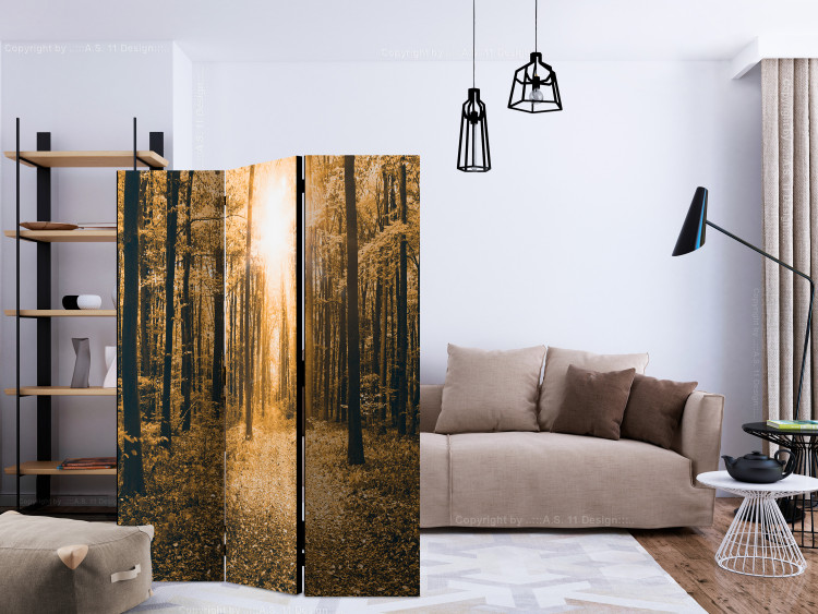 Room Separator Magical Light (3-piece) - autumn landscape among forest trees 132888 additionalImage 4