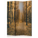 Room Separator Magical Light (3-piece) - autumn landscape among forest trees 132888
