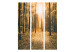 Room Separator Magical Light (3-piece) - autumn landscape among forest trees 132888 additionalThumb 3
