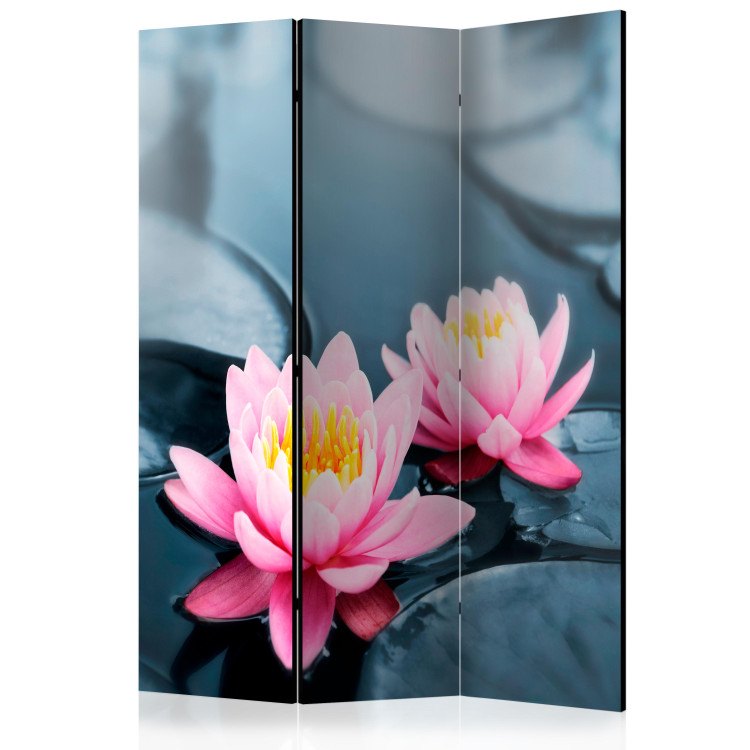 Folding Screen Lotus Blossoms - pink lily flower on water with floating leaves 133988