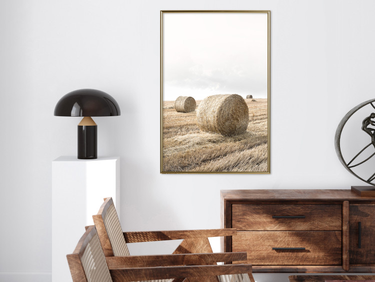 Poster Haystack - rural landscape overlooking brown fields during harvest 137688 additionalImage 21