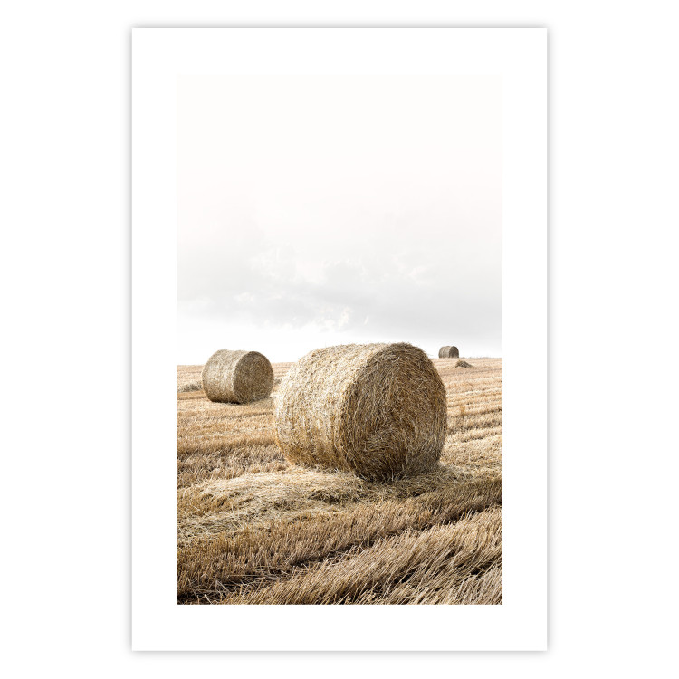 Poster Haystack - rural landscape overlooking brown fields during harvest 137688 additionalImage 11