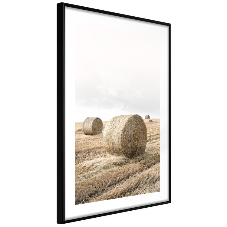 Poster Haystack - rural landscape overlooking brown fields during harvest 137688 additionalImage 4