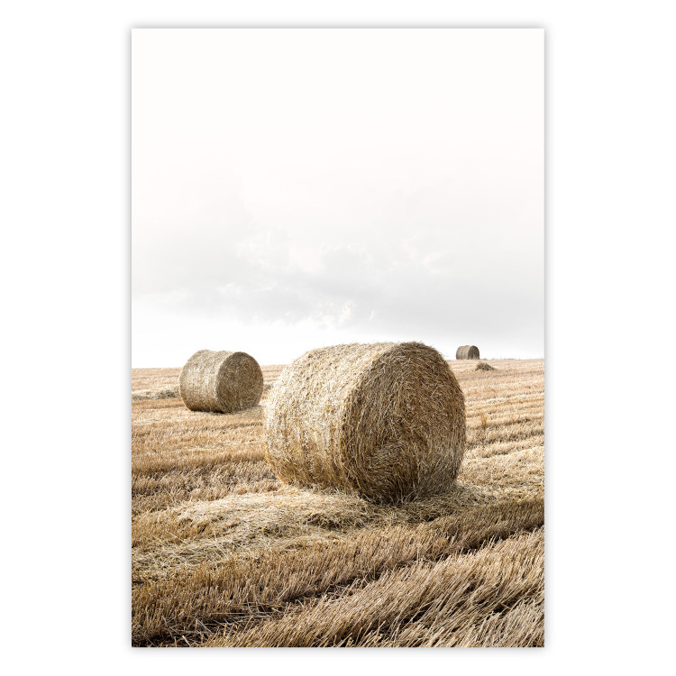 Poster Haystack - rural landscape overlooking brown fields during harvest 137688