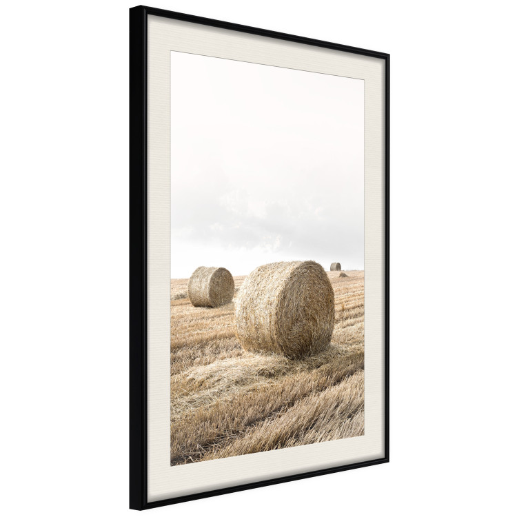 Poster Haystack - rural landscape overlooking brown fields during harvest 137688 additionalImage 10