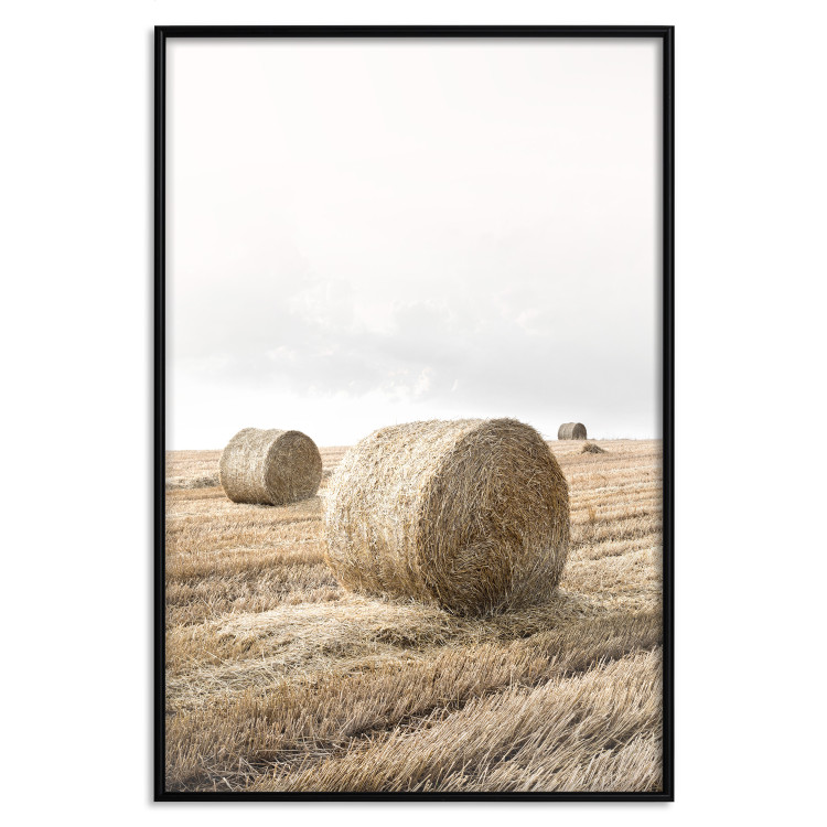 Poster Haystack - rural landscape overlooking brown fields during harvest 137688 additionalImage 12